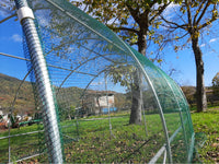 Serra Tunnel NetPlus 3x10m con rete antigrandine