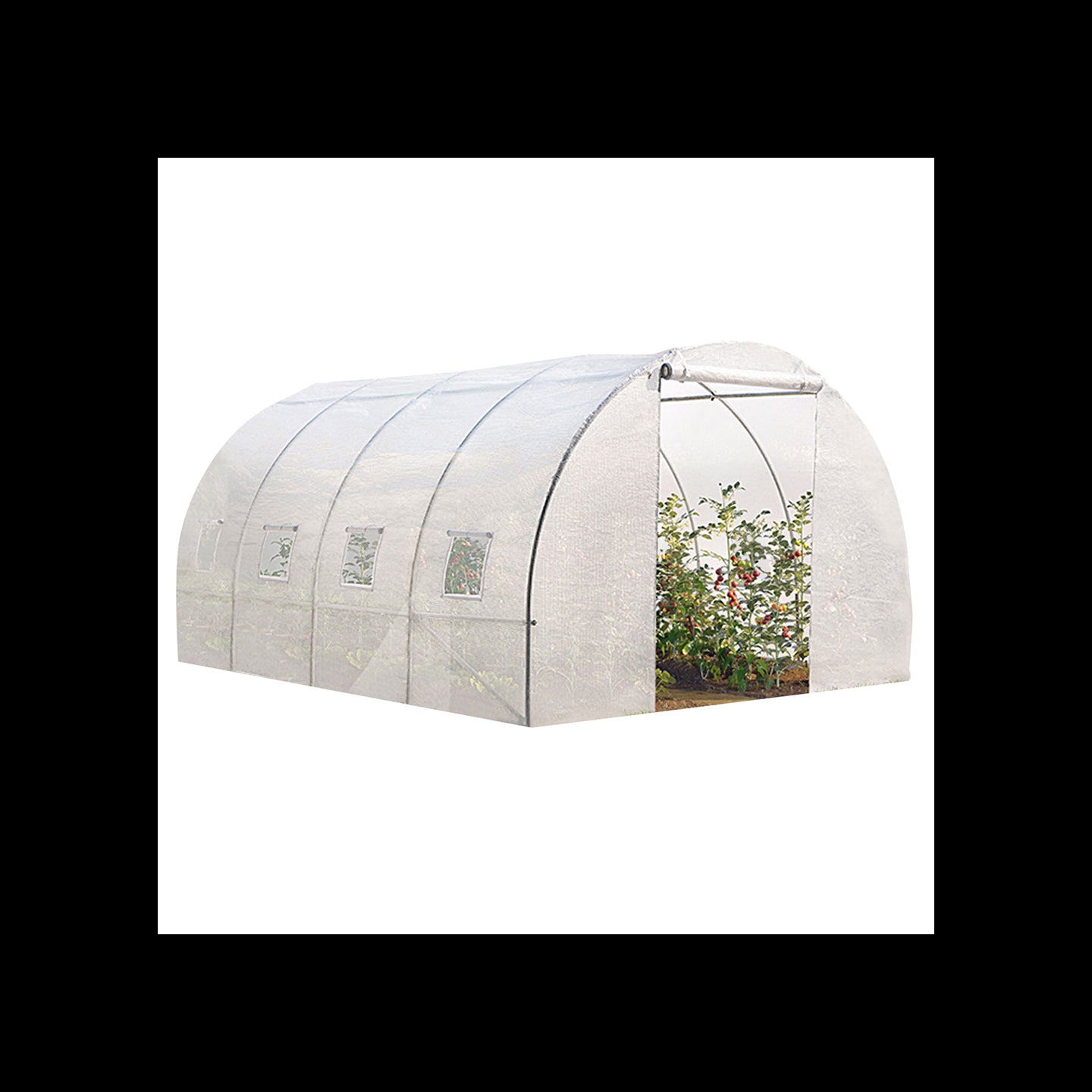 IDMarket - Serra tunnel di giardinario 12 m² bianco ZEBRA 4x3M