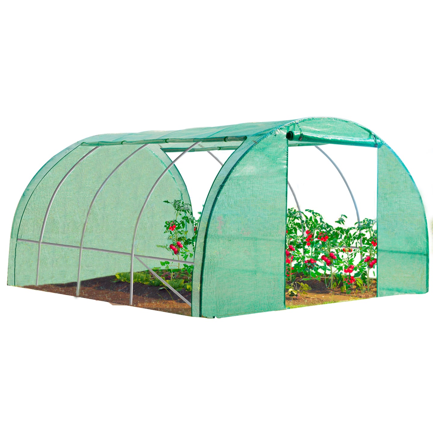 IDMarket - Serra tunnel di giardinario 12m²  verde 4 stagioni ZEBRA 4x3M