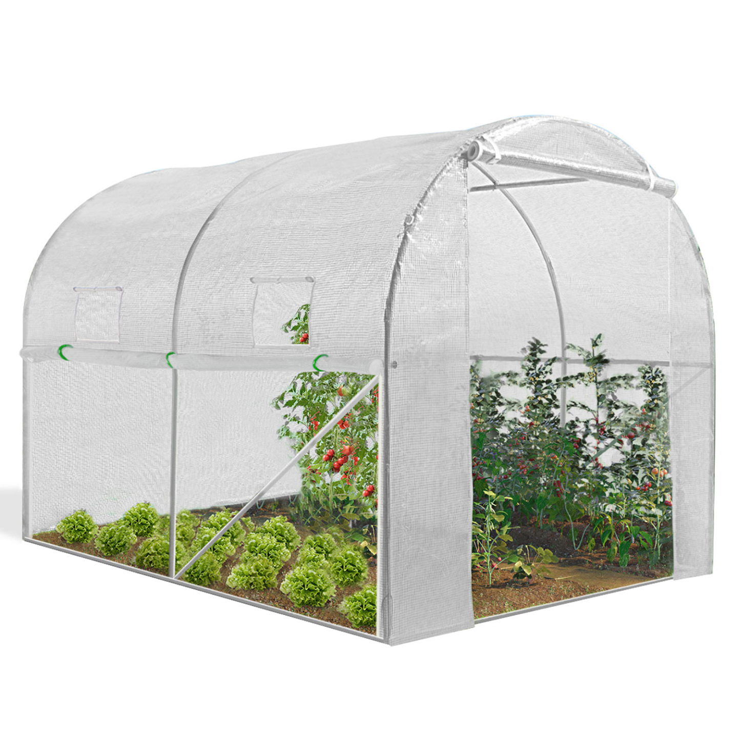 IDMarket - Serra tunnel di giardinario 6m²  bianco 4 stagioni ZEBRA 2x3M