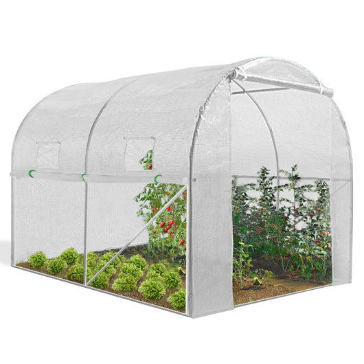 IDMarket - Serra tunnel di giardinario 6m²  bianco 4 stagioni ZEBRA 2x3M