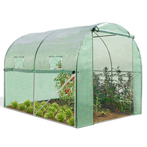 IDMarket - Serra tunnel di giardinario 6m²  verde 4 stagioni ZEBRA 2x3M