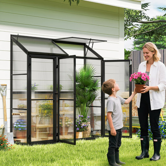 Serra da giardino in alluminio resistente ai raggi solari, Serra mini walk-in con lucernario e 3 porte bloccabili Nero-Serre da giardino