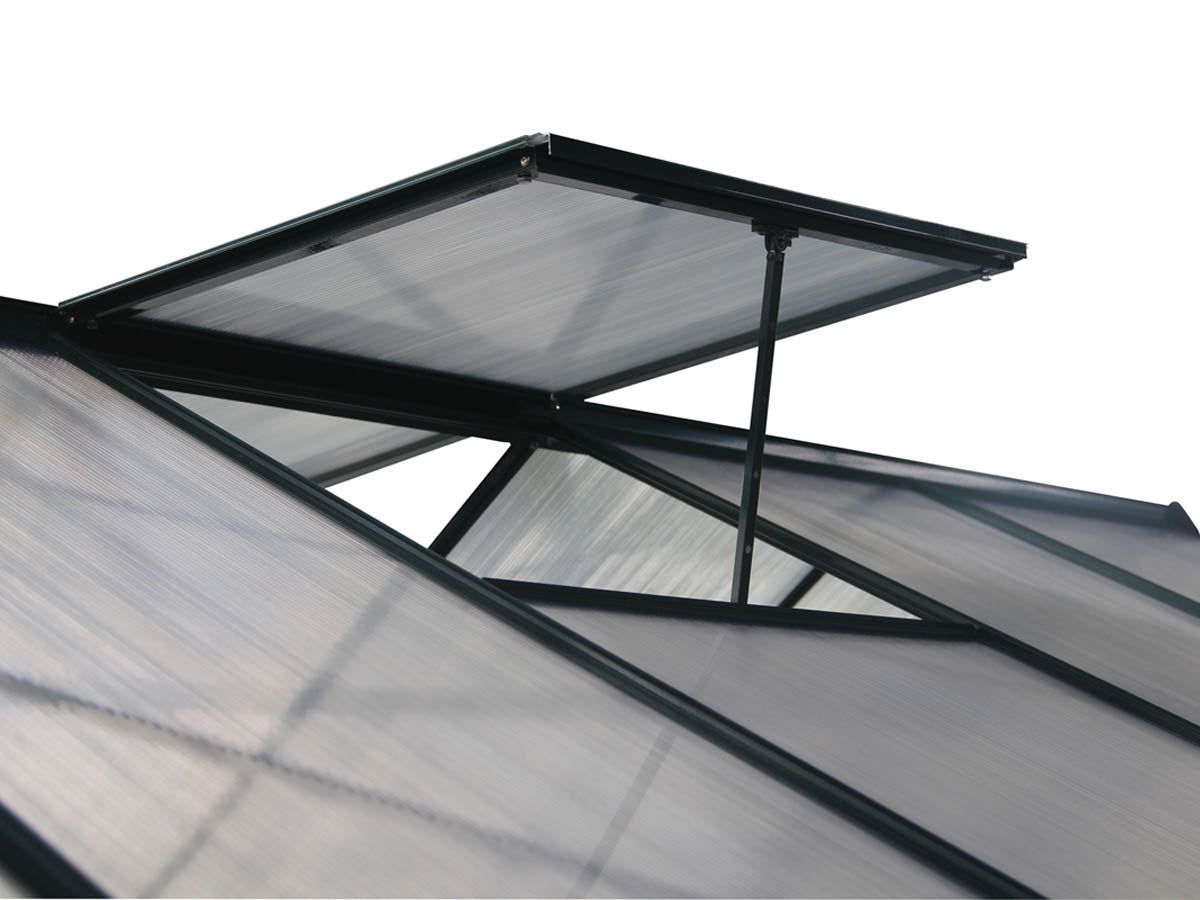 Serra da giardino in policarbonato DAHLIA Verde Abete 7,67 m²