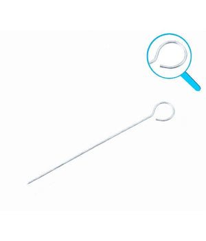 Set 10 Pz Spiedini In Acciaio Inox Per Barbecue Carne Pesce Frutta 35 Cm 6443204         