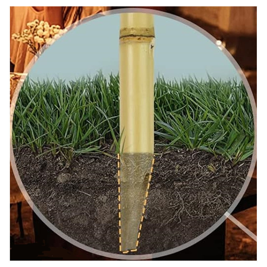 Trade Shop - Set 12pz Torcia In Bambù Naturale 150cm Da Giardino Per Esterni Con Stoppino 020097 02335 -        