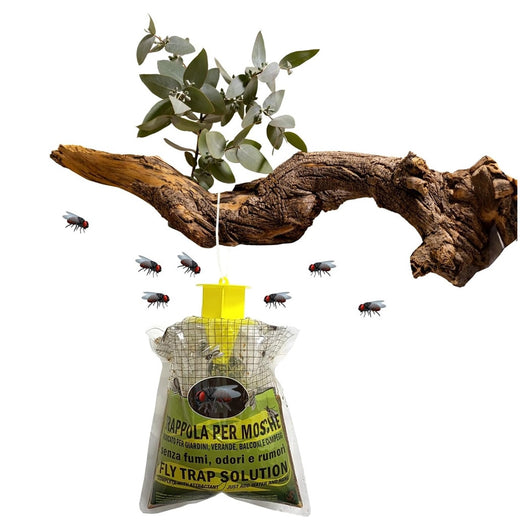 Trade Shop - Set 12pz Trappola Per Mosche Insetti Con Esca Naturale Ecologica Sicura Umani Animali 639719a -