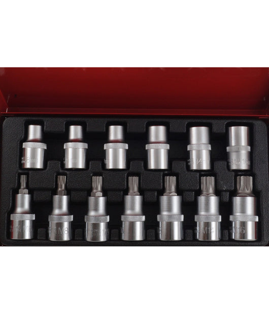 Set 13pz Bussole Boccole Chiavi Torx Inserti Maschi E Femmina In Valigetta Crv         