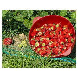 Trade Shop - Set 2pz Rete In Polietilene Anti Animali Maglia 2x10mt Verde Protezione Piante Orto 134615 -        