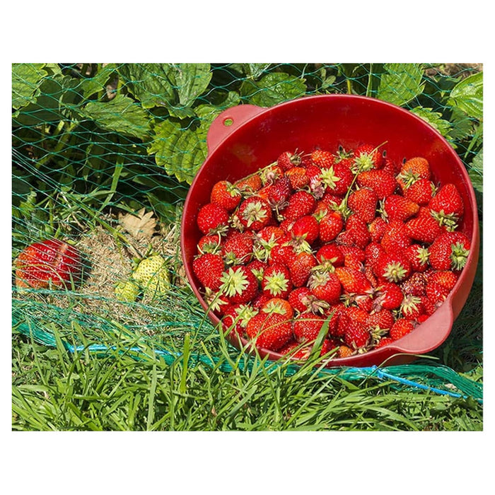 Trade Shop - Set 2pz Rete In Polietilene Anti Animali Maglia 2x10mt Verde Protezione Piante Orto 134615 -        