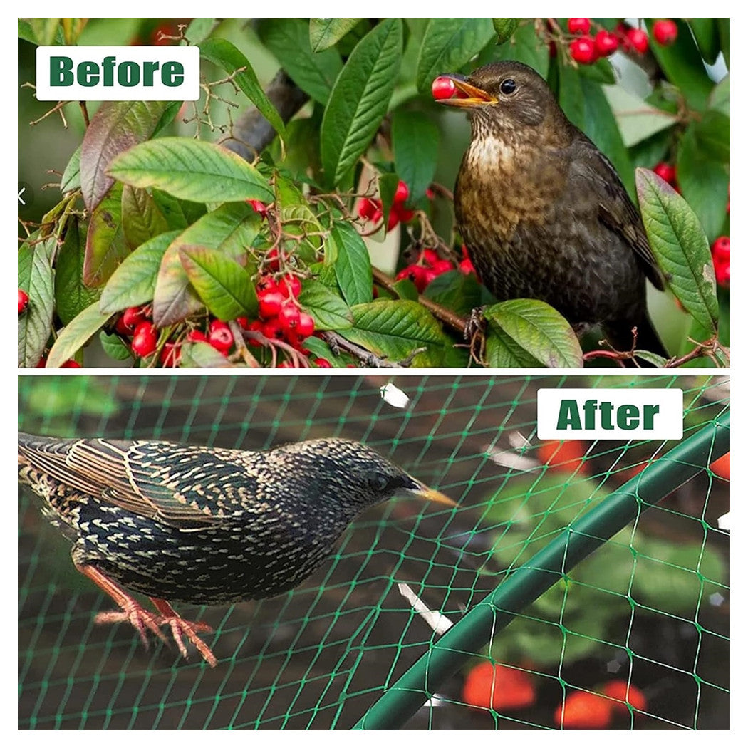 Trade Shop - Set 2pz Rete In Polietilene Anti Animali Maglia 2x10mt Verde Protezione Piante Orto 134615 -        