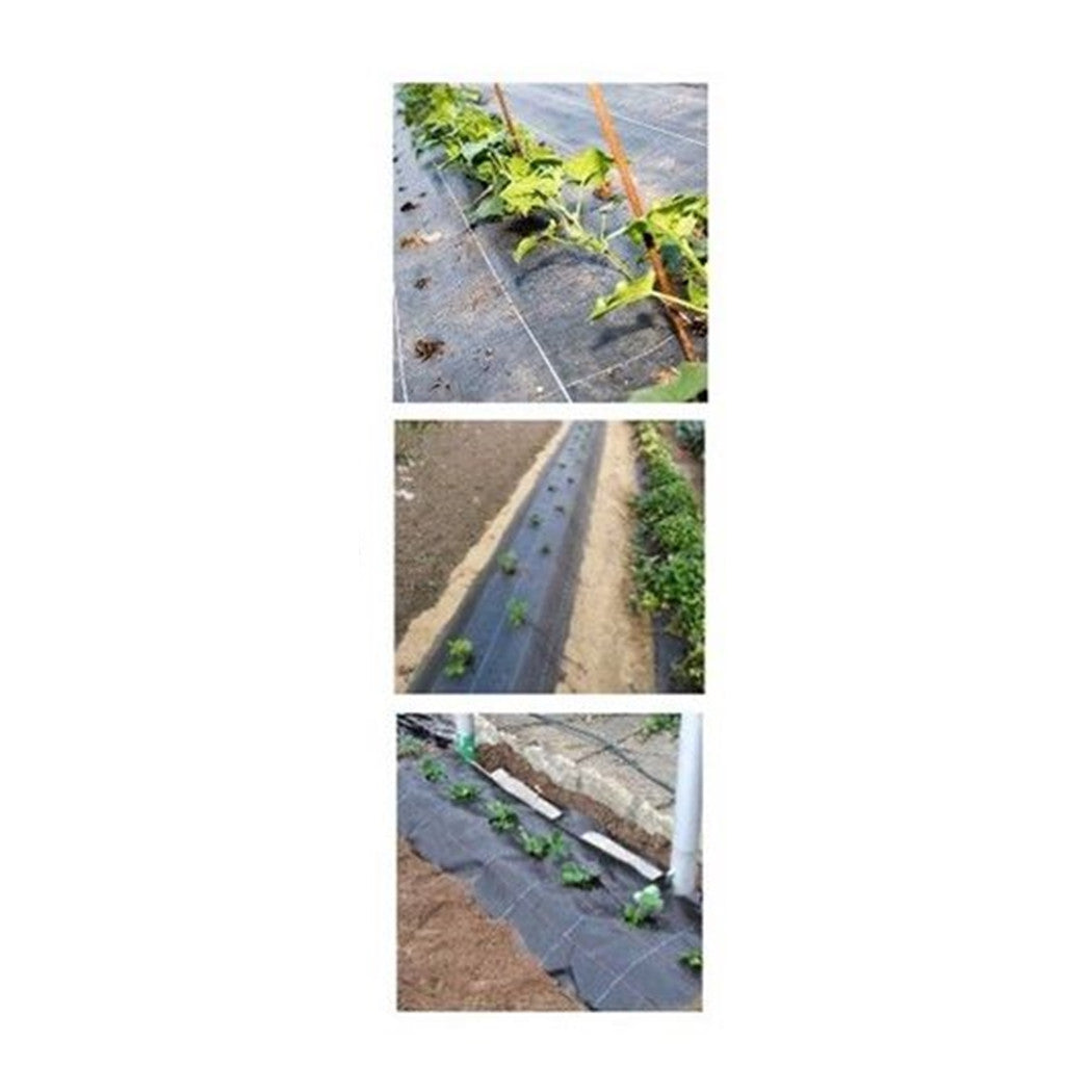 Trade Shop - Set 3pz Rete Anti Erba Telo Pacciamatura Orto Giardino Serra 1x10mt Resistente 129912 -        