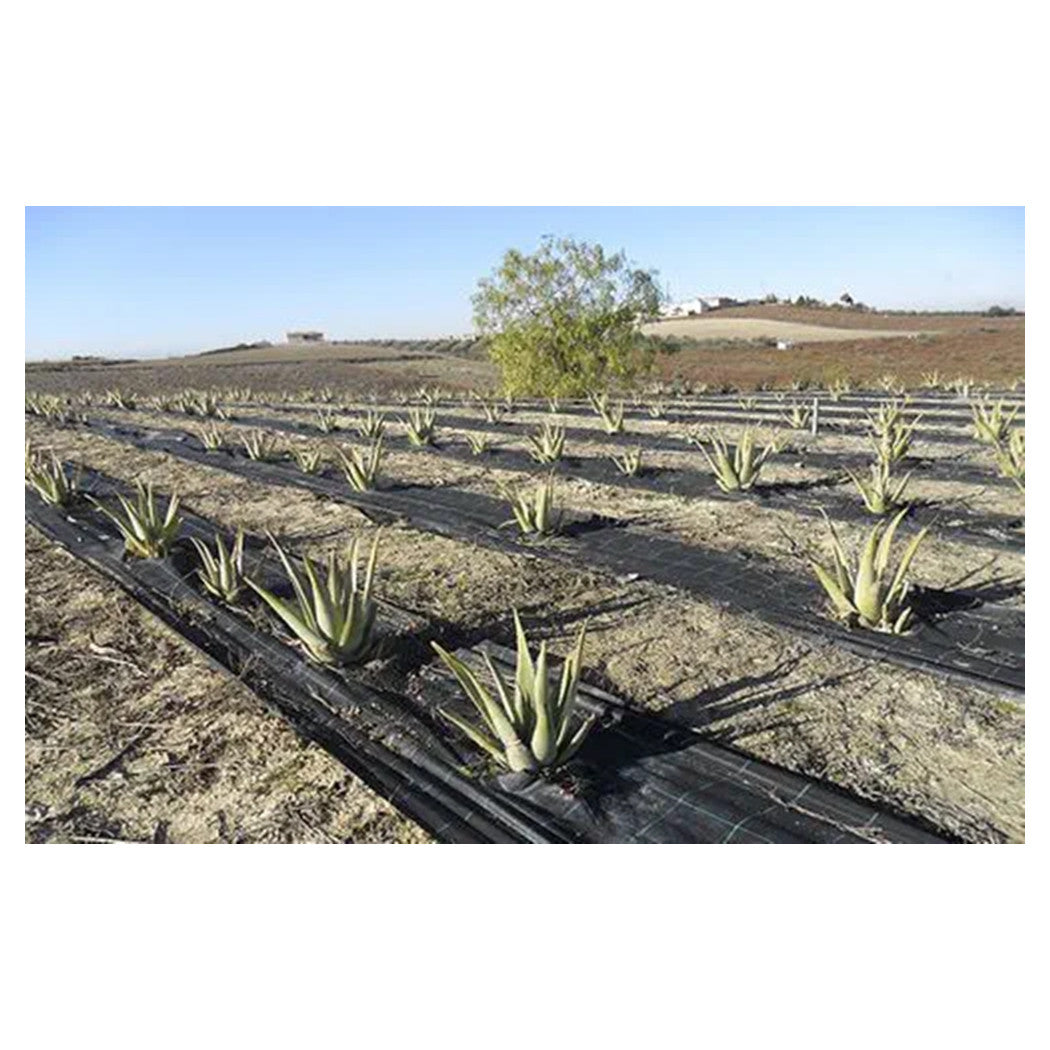 Trade Shop - Set 3pz Rete Anti Erba Telo Pacciamatura Orto Giardino Serra 1x10mt Resistente 129912 -        