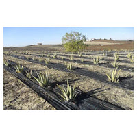 Trade Shop - Set 3pz Rete Anti Erba Telo Pacciamatura Orto Giardino Serra 1x10mt Resistente 129912 -        