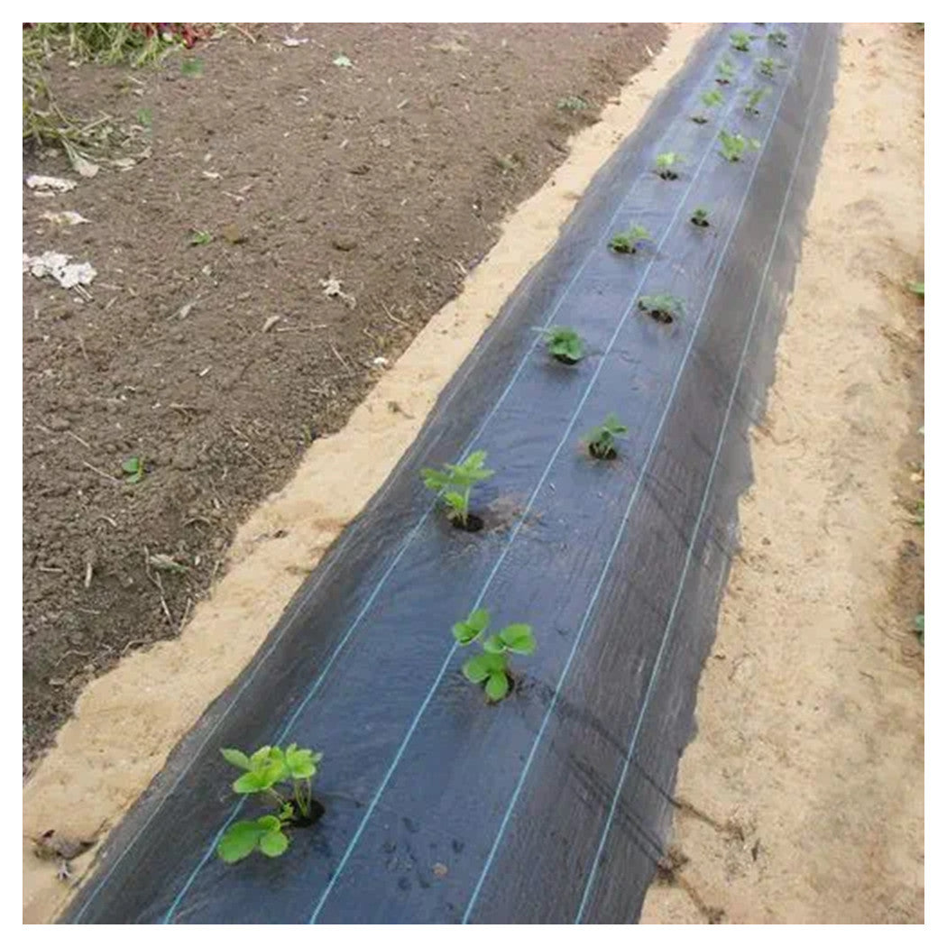 Trade Shop - Set 3pz Rete Anti Erba Telo Pacciamatura Orto Giardino Serra 1x10mt Resistente 129912 -        