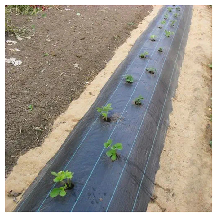 Trade Shop - Set 3pz Rete Anti Erba Telo Pacciamatura Orto Giardino Serra 1x10mt Resistente 129912 -        