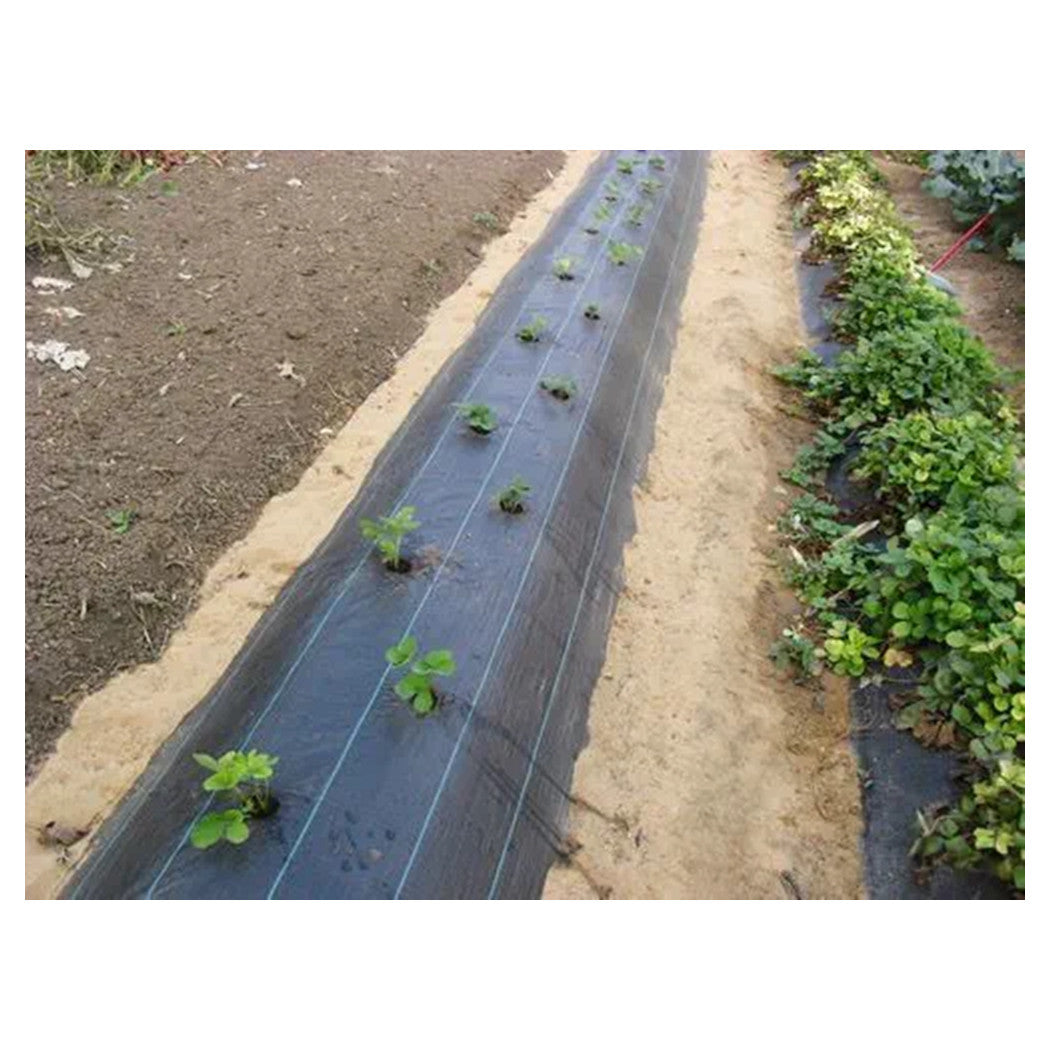 Trade Shop - Set 3pz Rete Anti Erba Telo Pacciamatura Orto Giardino Serra 1x10mt Resistente 129912 -        