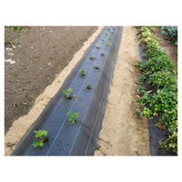 Trade Shop - Set 3pz Rete Anti Erba Telo Pacciamatura Orto Giardino Serra 1x10mt Resistente 129912 -        