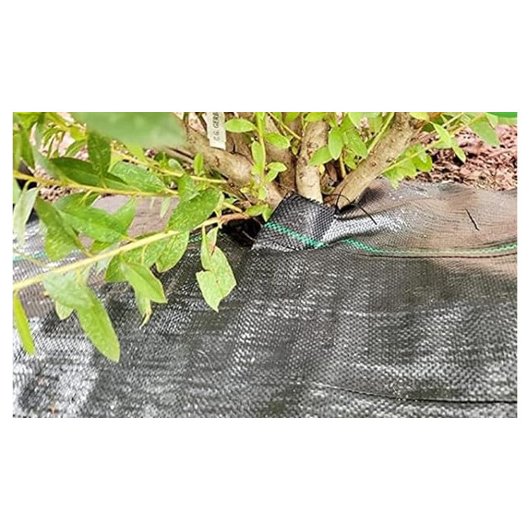 Trade Shop - Set 3pz Rete Anti Erba Telo Pacciamatura Orto Giardino Serra 1x10mt Resistente 129912 -        