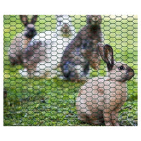 Trade Shop - Set 3pz Rete Metallica Plastificata 0.5x3mt Maglia Esagonale 19mm Recinzione 020245 -        