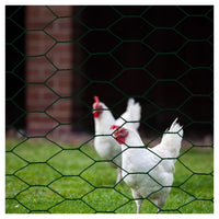 Trade Shop - Set 3pz Rete Metallica Plastificata 1.5x3mt Maglia Esagonale 19mm Recinzione 020247 -        