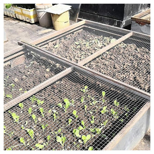 Trade Shop - Set 3pz Rete Metallica Zincata 0.5x3mt Recinzione Protezione Alberi Giardino Animali 020248 -