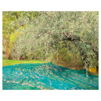 Trade Shop - Set 3pz Rete Per Raccolta Olive Frutta Piantagioni Resistente Durevole 3x10mt Verde 222271 -