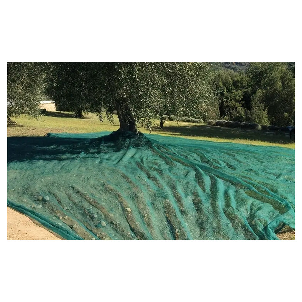Trade Shop - Set 3pz Rete Per Raccolta Olive Frutta Piantagioni Resistente Durevole 3x10mt Verde 222271 -