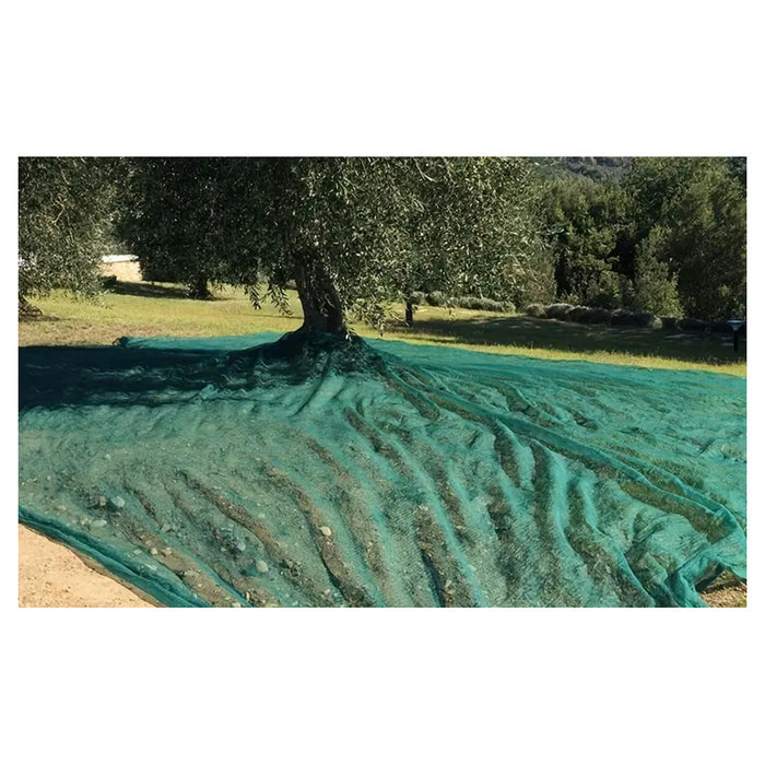 Trade Shop - Set 3pz Rete Per Raccolta Olive Frutta Piantagioni Resistente Durevole 3x10mt Verde 222271 -
