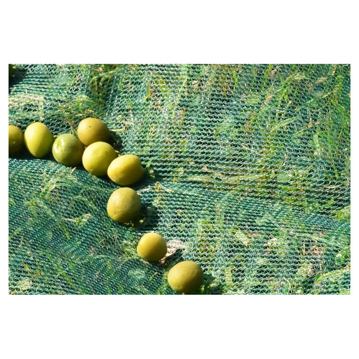 Trade Shop - Set 3pz Rete Per Raccolta Olive Frutta Piantagioni Resistente Durevole 3x10mt Verde 222271 -