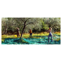 Trade Shop - Set 3pz Rete Per Raccolta Olive Frutta Piantagioni Resistente Durevole 3x6mt Verde 222269 -
