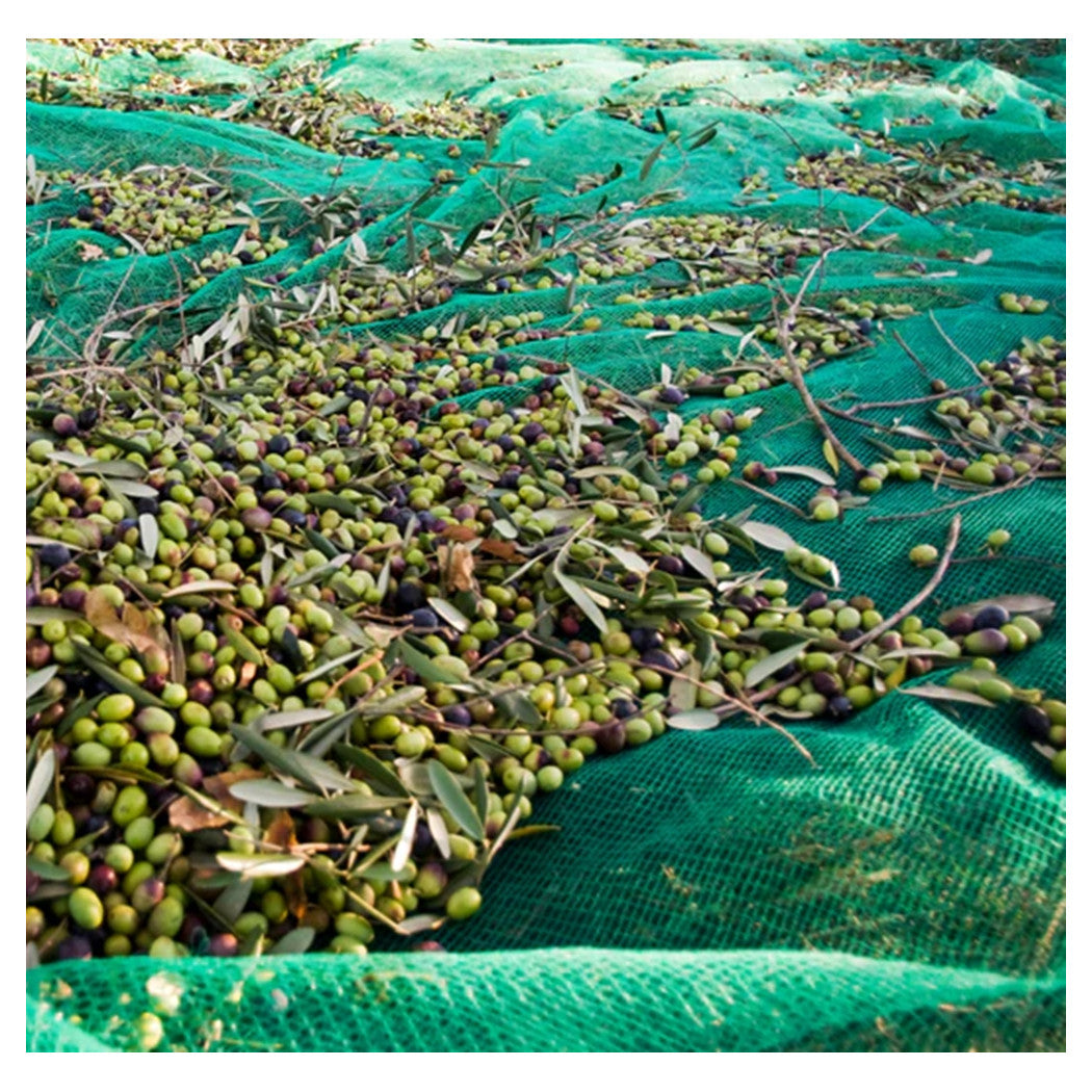 Trade Shop - Set 3pz Rete Per Raccolta Olive Frutta Piantagioni Resistente Durevole 3x6mt Verde 222269 -