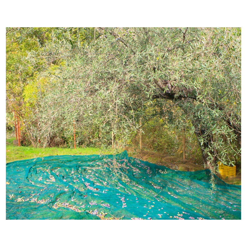 Trade Shop - Set 3pz Rete Per Raccolta Olive Frutta Piantagioni Resistente Durevole 3x6mt Verde 222269 -