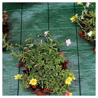 Trade Shop - Set 3pz Rete Telo Pacciamatura Anti Erba Orto Giardino Serra 1x10mt Resistente 222251 -        