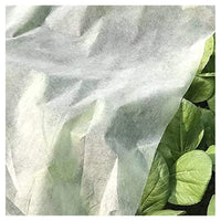 Trade Shop - Set 3pz Rotoli Telo Protettivo Tessuto Protezione Delle Colture Raccolti 1.5x10mt 134059 -        