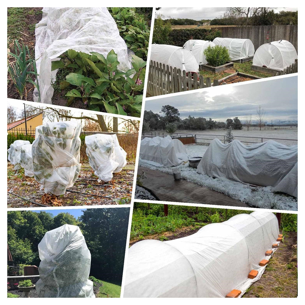 Trade Shop - Set 3pz Rotoli Telo Protettivo Tessuto Protezione Delle Colture Raccolti 1.5x10mt 134059 -        