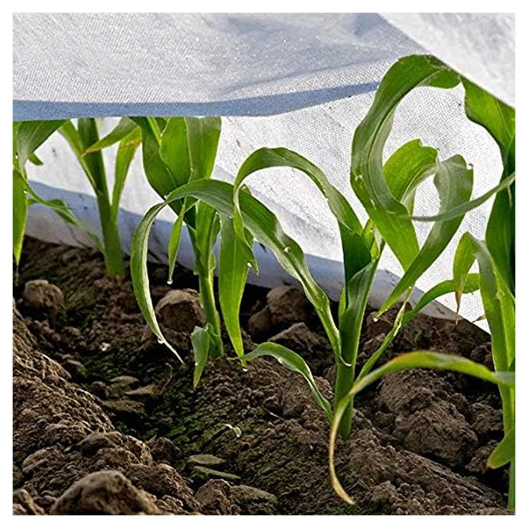 Trade Shop - Set 3pz Rotoli Telo Protettivo Tessuto Protezione Delle Colture Raccolti 1.5x10mt 134059 -        