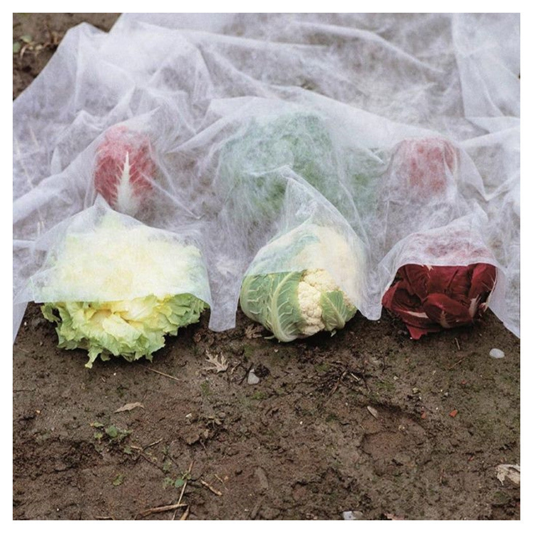 Trade Shop - Set 3pz Rotoli Telo Protettivo Tessuto Protezione Delle Colture Raccolti 1.5x10mt 134059 -        