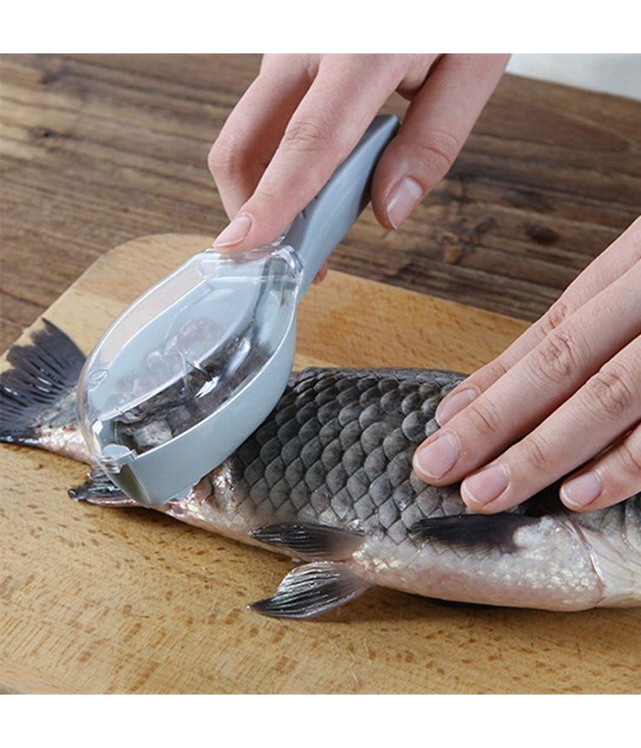 Set 3pz Squamatore Pesci Raschietto Plastica Squame Pesce Casa Cucina Ristorante         