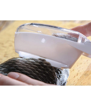 Set 3pz Squamatore Pesci Raschietto Plastica Squame Pesce Casa Cucina Ristorante         