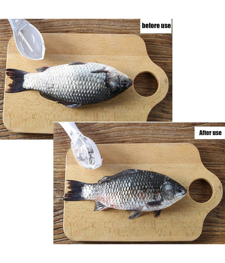 Set 3pz Squamatore Pesci Raschietto Plastica Squame Pesce Casa Cucina Ristorante         