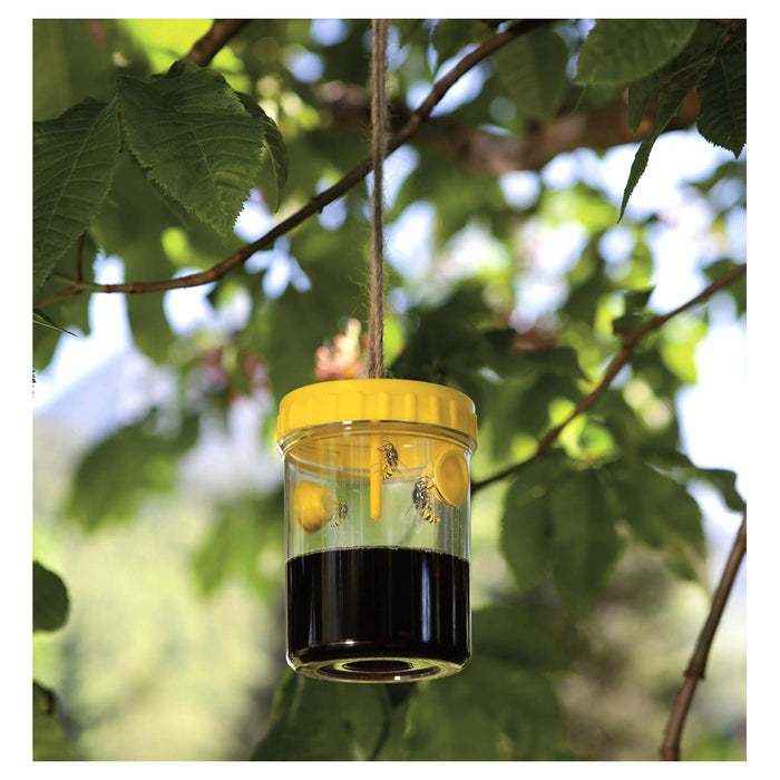 Trade Shop - Set 6 Pz Trappola Per Vespe Calabroni Insetti Da Appendere Balcone Giardino 020176 -        