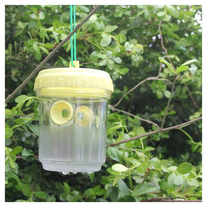 Trade Shop - Set 6 Pz Trappola Per Vespe Calabroni Insetti Da Appendere Balcone Giardino 020176 -        
