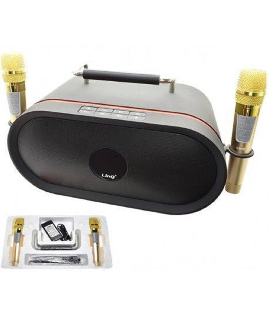 Set Audio Bluetooth Per Karaoke Portatile Cassa Speaker Stereo Microfoni 60w K-6668         
