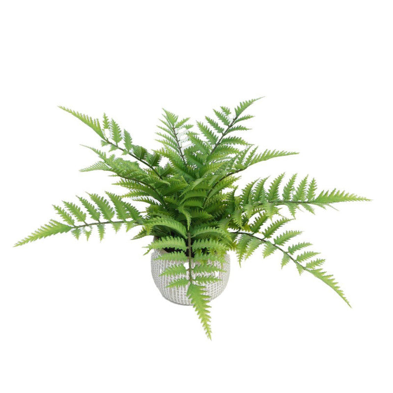 Set di 2 Felci Con Vaso H 33cm
12 Foglie
Con Vaso In Cemento D 110 X H 10,3cm