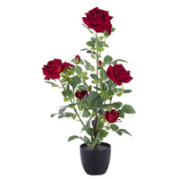 Set di 2 Rose In Velluto Con Vaso H 70 Cm