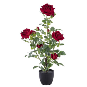 Set di 2 Rose In Velluto Con Vaso H 70 Cm