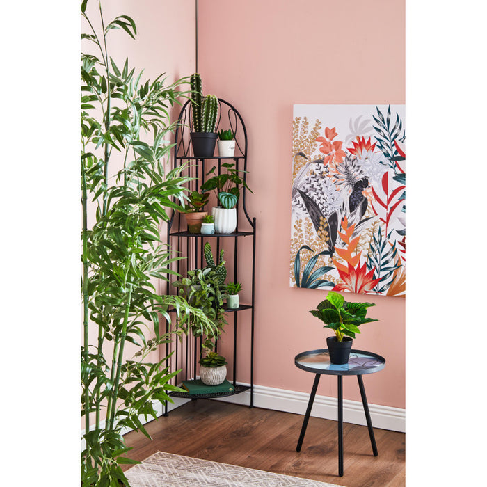 Set di 2 Sedie Iago In Metallo Con Seduta Tonda 39x39x94 Nero Opaco