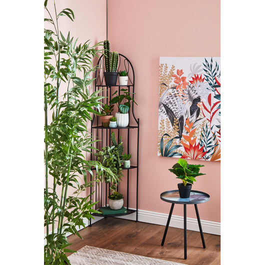 Set di 2 Sedie Iago In Metallo Con Seduta Tonda 39x39x94 Nero Opaco