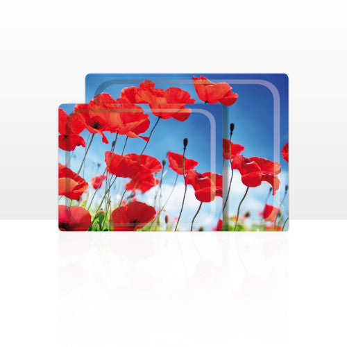 Set di 2 vassoi multiuso (42 x 29 e 48 x 37 cm)